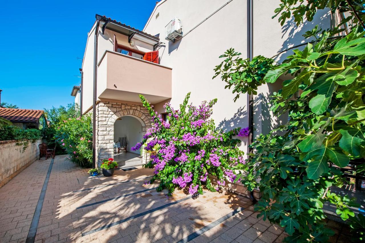 Gala Apartment